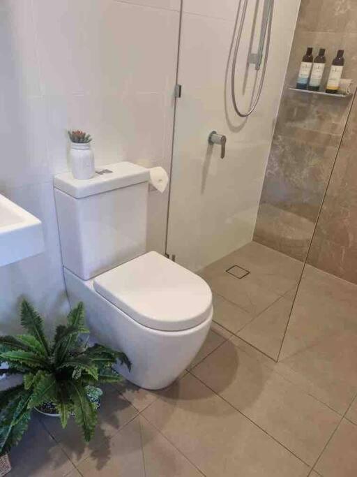 Modern 1 Brm Apartment With Pool Close To Beach Gold Coast Eksteriør bilde