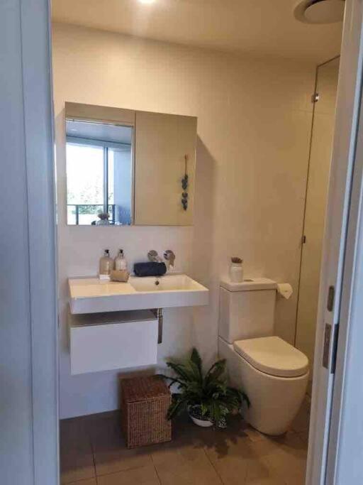 Modern 1 Brm Apartment With Pool Close To Beach Gold Coast Eksteriør bilde